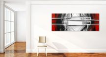 designov� obraz 