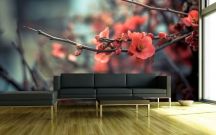 designov� vliesov� tapeta Kvetouc� v�tvi�ka