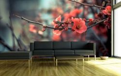 designov� vliesov� tapeta Kvetouc� v�tvi�ka