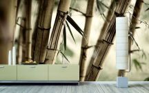 designov� vliesov� tapeta Bamboo