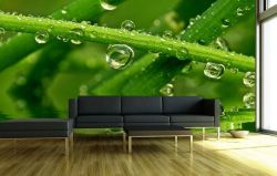 designov� vliesov� tapeta Waterdrops