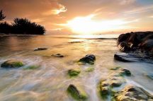 designov� vliesov� tapeta Summer Moment